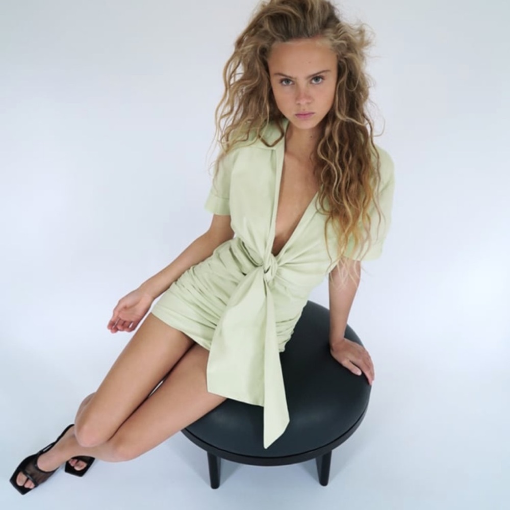 Zara dress